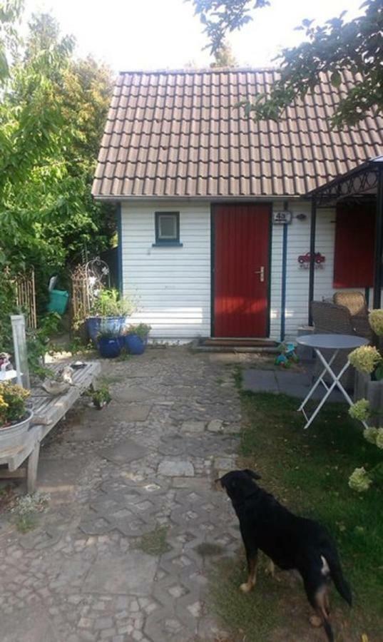 Das Kleine Ferienhaus Berlin Dış mekan fotoğraf
