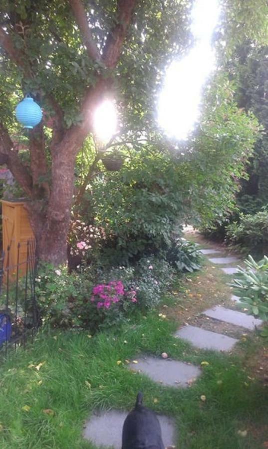 Das Kleine Ferienhaus Berlin Dış mekan fotoğraf